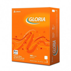Repuesto Gloria, 480 hojas...