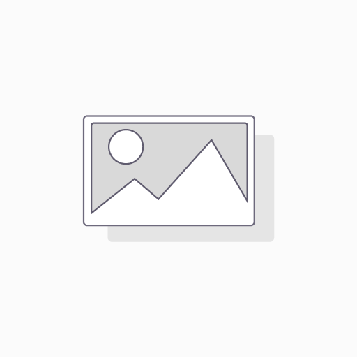 PLANTILLA FIGURAS GEOMET. 5804 PIZZINI