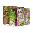 Carpeta 3 anillos Rexon Cat World 2, lomo de 40mm. 