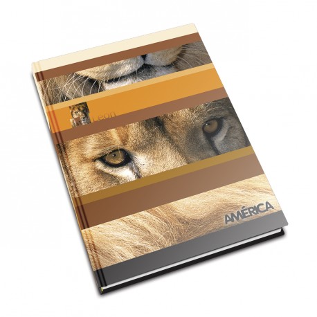 [AMERTC42CUAD] Cuaderno América tapa cartón, 16x21cm. 42 hojas cuadriculadas