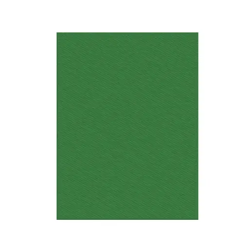 [TAPAPPPA4RVE] Tapa para encuadernar de Polipropileno A4 Rayada Stripe Line verde, pack de 50 unidades